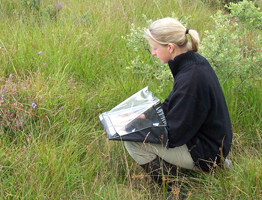 Çevre Araştırmaları